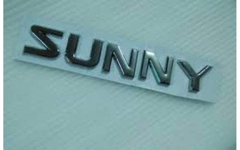 Надпись SUNNY 15.5см-2.5см